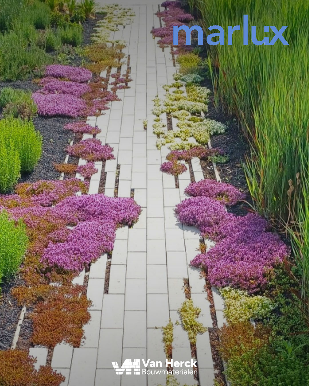 hydro-lineo-marlux-bouwmaterialen-van-herck.jpeg